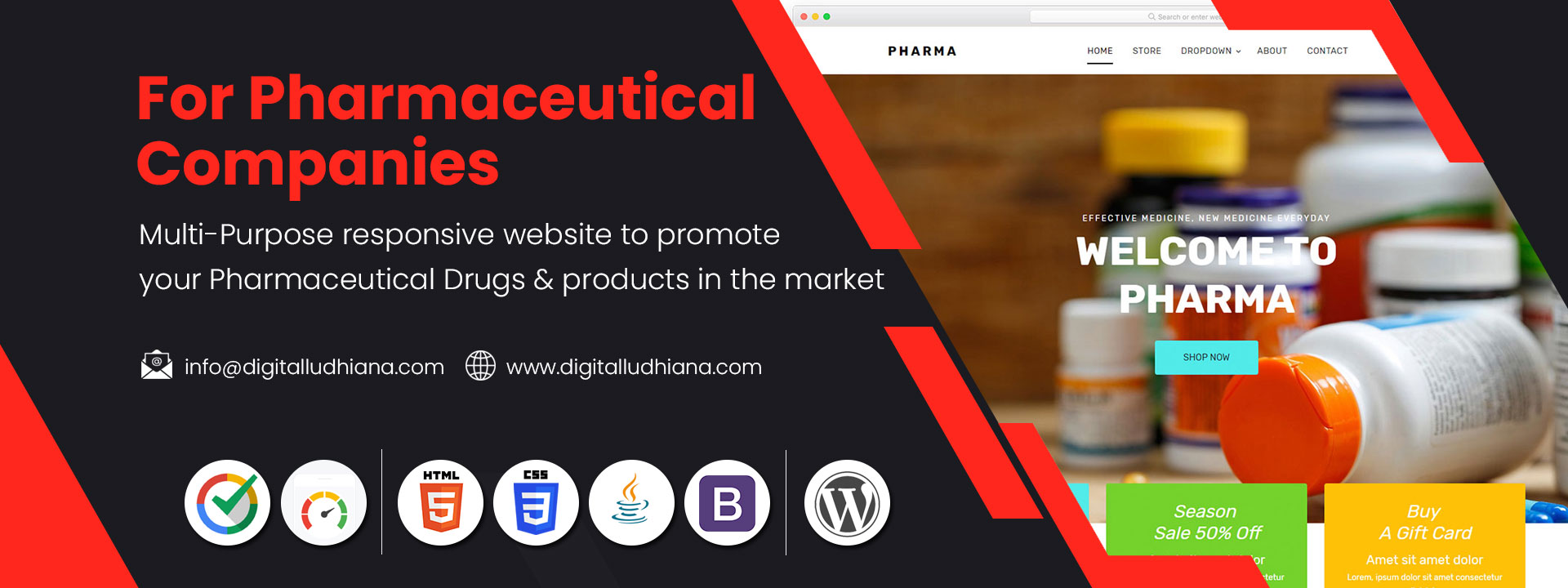 Pharmaceutical drugs making company website designing in ludhiana punjab india